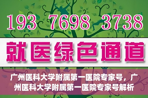 广州医科大学附属第一医院专家号，广州医科大学附属第一医院专家号解析，名医汇聚，专业诊疗新高度