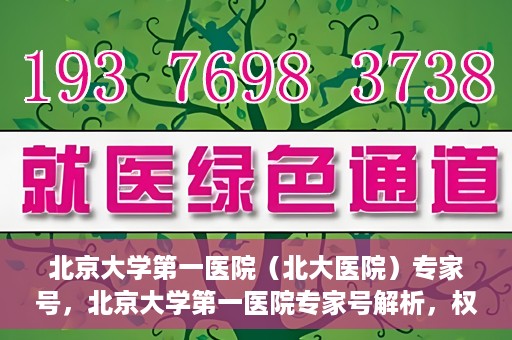 北京大学第一医院（北大医院）专家号，北京大学第一医院专家号解析，权威医疗团队的专业解读与诊疗之道