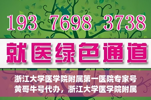 浙江大学医学院附属第一医院专家号黄哥牛号代办，浙江大学医学院附属第一医院专家号代办服务揭秘，黄哥牛号助您轻松预约专家号