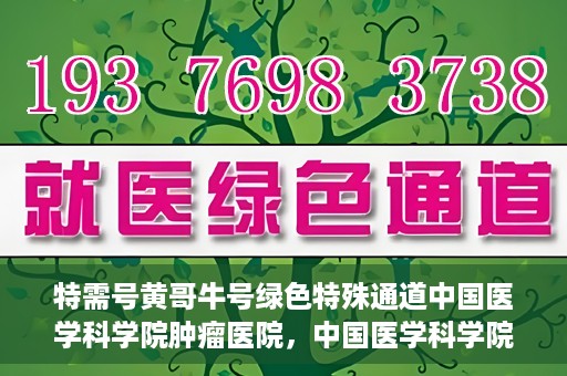 特需号黄哥牛号绿色特殊通道中国医学科学院肿瘤医院，中国医学科学院肿瘤医院特需号黄哥牛号绿色特殊通道揭秘