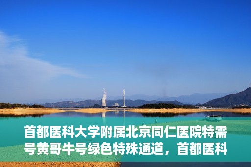 首都医科大学附属北京同仁医院特需号黄哥牛号绿色特殊通道，首都医科大学附属北京同仁医院特需号黄哥牛号，绿色特殊通道揭秘