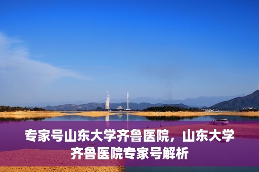 专家号山东大学齐鲁医院，山东大学齐鲁医院专家号解析
