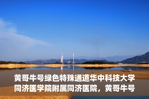 黄哥牛号绿色特殊通道华中科技大学同济医学院附属同济医院，黄哥牛号绿色特殊通道，华中科技大学同济医学院附属同济医院的探索与实践