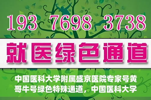中国医科大学附属盛京医院专家号黄哥牛号绿色特殊通道，中国医科大学附属盛京医院专家号黄哥牛号，绿色特殊通道揭秘
