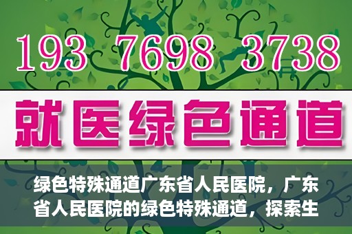 绿色特殊通道广东省人民医院，广东省人民医院的绿色特殊通道，探索生命的新路径