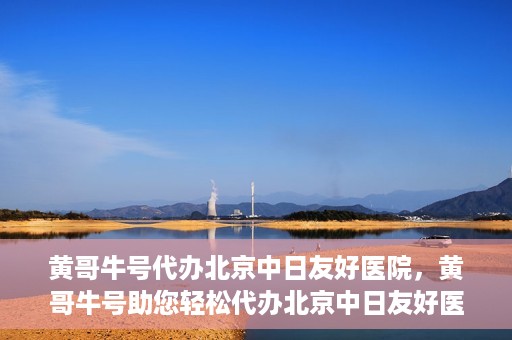 黄哥牛号代办北京中日友好医院，黄哥牛号助您轻松代办北京中日友好医院手续