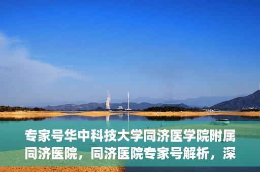 专家号华中科技大学同济医学院附属同济医院，同济医院专家号解析，深度解读医疗技术与学科优势