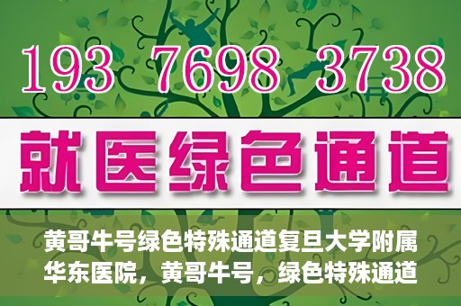 黄哥牛号绿色特殊通道复旦大学附属华东医院，黄哥牛号，绿色特殊通道揭秘，华东医院新篇章开启