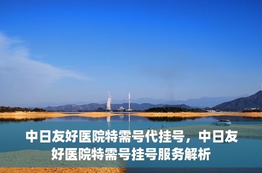 中日友好医院特需号代挂号，中日友好医院特需号挂号服务解析