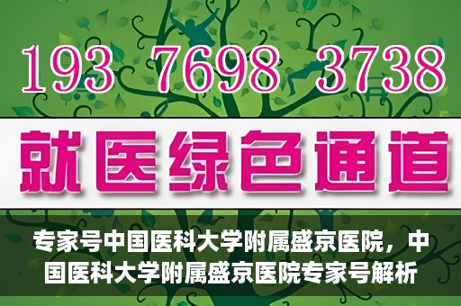 专家号中国医科大学附属盛京医院，中国医科大学附属盛京医院专家号解析