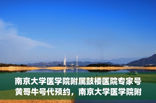 南京大学医学院附属鼓楼医院专家号黄哥牛号代预约，南京大学医学院附属鼓楼医院专家号预约服务解析，黄哥牛号代预约详解