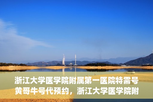 浙江大学医学院附属第一医院特需号黄哥牛号代预约，浙江大学医学院附属第一医院特需号预约专家黄哥牛号预约服务解析
