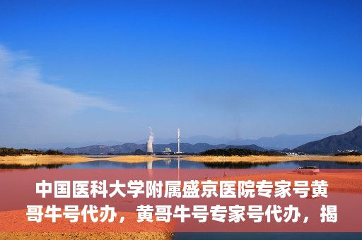 中国医科大学附属盛京医院专家号黄哥牛号代办，黄哥牛号专家号代办，揭秘中国医科大学附属盛京医院背后的故事