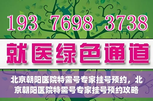北京朝阳医院特需号专家挂号预约，北京朝阳医院特需号专家挂号预约攻略，一站式预约服务体验