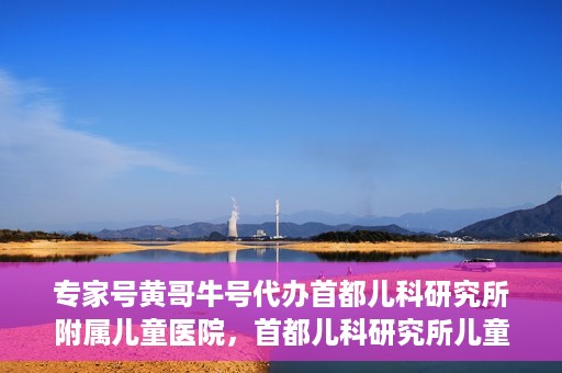 专家号黄哥牛号代办首都儿科研究所附属儿童医院，首都儿科研究所儿童医院专家号代办服务揭秘，黄哥牛号助您轻松预约专家号