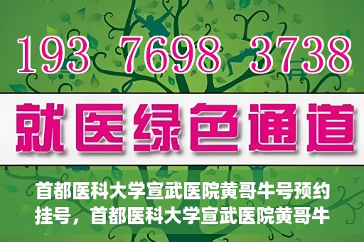 首都医科大学宣武医院黄哥牛号预约挂号，首都医科大学宣武医院黄哥牛号，预约挂号攻略