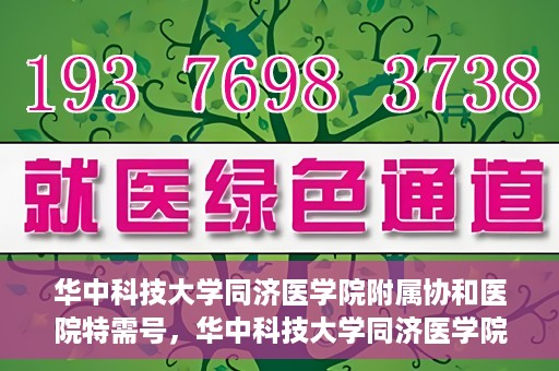 华中科技大学同济医学院附属协和医院特需号，华中科技大学同济医学院附属协和医院特需号，尊贵医疗体验，专业健康守护