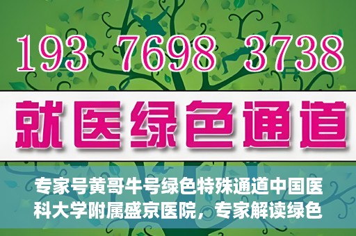 专家号黄哥牛号绿色特殊通道中国医科大学附属盛京医院，专家解读绿色特殊通道，盛京医院黄哥牛号背后的故事