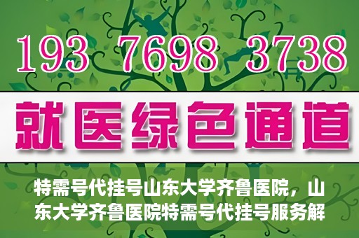 特需号代挂号山东大学齐鲁医院，山东大学齐鲁医院特需号代挂号服务解析