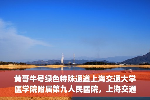 黄哥牛号绿色特殊通道上海交通大学医学院附属第九人民医院，上海交通大学医学院附属第九人民医院开通绿色特殊通道——黄哥牛号服务新篇章