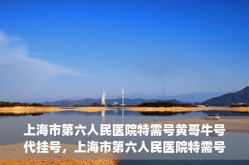 上海市第六人民医院特需号黄哥牛号代挂号，上海市第六人民医院特需号专家黄哥代挂号服务解析