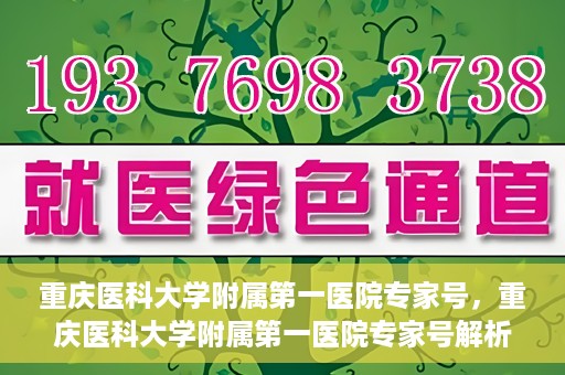 重庆医科大学附属第一医院专家号，重庆医科大学附属第一医院专家号解析，专业团队与尖端医疗的完美结合