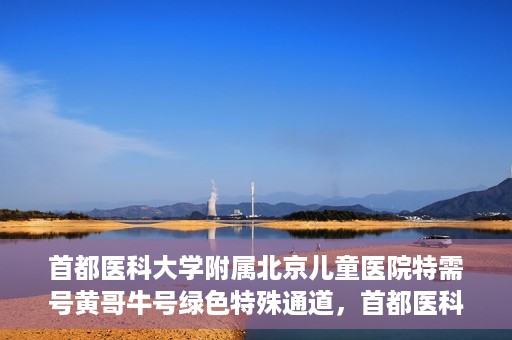 首都医科大学附属北京儿童医院特需号黄哥牛号绿色特殊通道，首都医科大学附属北京儿童医院特需号黄哥牛号绿色通道，专属医疗服务的探索与实践