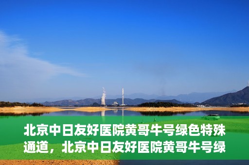 北京中日友好医院黄哥牛号绿色特殊通道，北京中日友好医院黄哥牛号绿色就医特殊通道解析