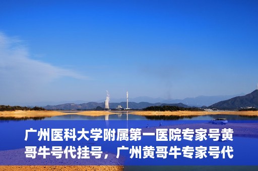 广州医科大学附属第一医院专家号黄哥牛号代挂号，广州黄哥牛专家号代挂号服务解析，专业医疗资源的便捷获取之道