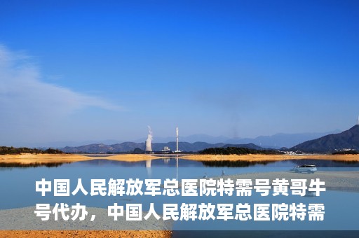 中国人民解放军总医院特需号黄哥牛号代办，中国人民解放军总医院特需号黄哥牛号代办服务详解