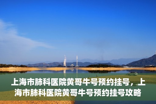 上海市肺科医院黄哥牛号预约挂号，上海市肺科医院黄哥牛号预约挂号攻略，轻松掌握挂号秘籍
