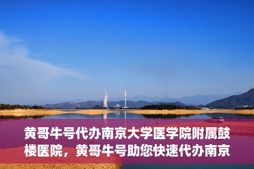 黄哥牛号代办南京大学医学院附属鼓楼医院，黄哥牛号助您快速代办南京大学医学院附属鼓楼医院手续。