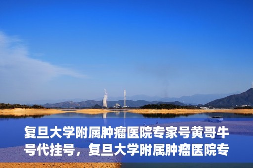 复旦大学附属肿瘤医院专家号黄哥牛号代挂号，复旦大学附属肿瘤医院专家黄哥牛号代挂号解析与攻略