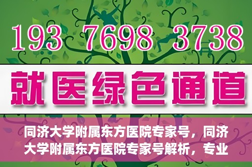 同济大学附属东方医院专家号，同济大学附属东方医院专家号解析，专业医疗服务的深度解读
