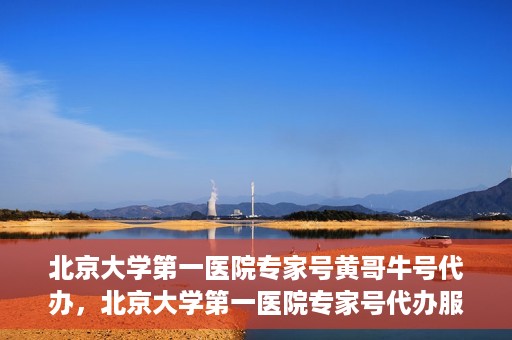 北京大学第一医院专家号黄哥牛号代办，北京大学第一医院专家号代办服务揭秘，黄哥牛号助您轻松预约专家资源