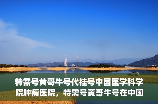 特需号黄哥牛号代挂号中国医学科学院肿瘤医院，特需号黄哥牛号在中国医学科学院肿瘤医院代挂号实录
