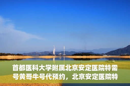 首都医科大学附属北京安定医院特需号黄哥牛号代预约，北京安定医院特需号黄哥牛号预约服务详解