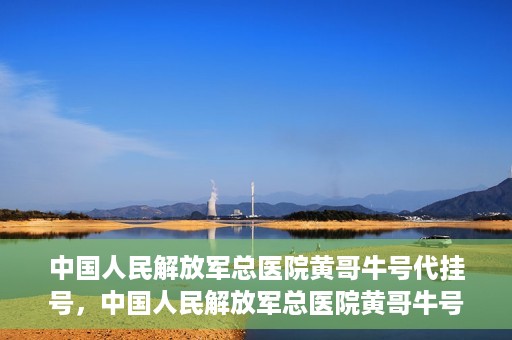 中国人民解放军总医院黄哥牛号代挂号，中国人民解放军总医院黄哥牛号代挂号解析，揭秘挂号背后的故事
