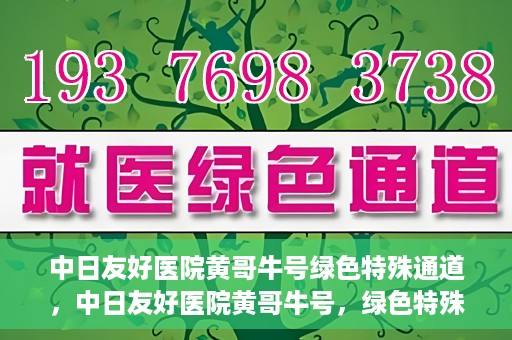 中日友好医院黄哥牛号绿色特殊通道，中日友好医院黄哥牛号，绿色特殊通道开启健康之门