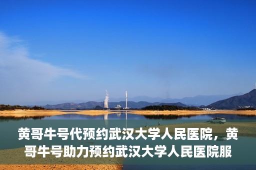 黄哥牛号代预约武汉大学人民医院，黄哥牛号助力预约武汉大学人民医院服务