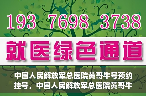 中国人民解放军总医院黄哥牛号预约挂号，中国人民解放军总医院黄哥牛号预约挂号攻略解析