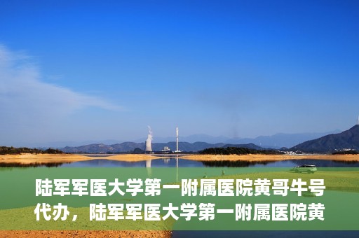 陆军军医大学第一附属医院黄哥牛号代办，陆军军医大学第一附属医院黄哥牛号服务代办中心