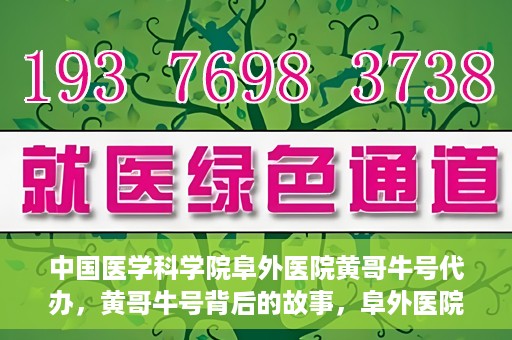 中国医学科学院阜外医院黄哥牛号代办，黄哥牛号背后的故事，阜外医院名医揭秘与医疗服务的深度解读