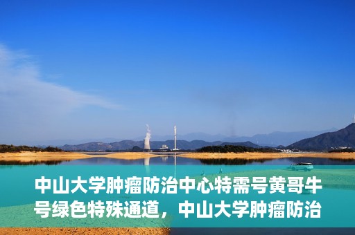 中山大学肿瘤防治中心特需号黄哥牛号绿色特殊通道，中山大学肿瘤防治中心特需号黄哥牛号，绿色特殊通道助力健康之路