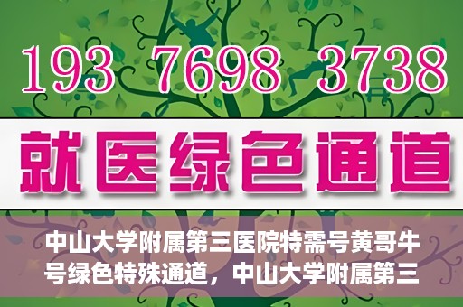 中山大学附属第三医院特需号黄哥牛号绿色特殊通道，中山大学附属第三医院特需号黄哥牛号绿色通道，专业医疗服务的特殊通道探索