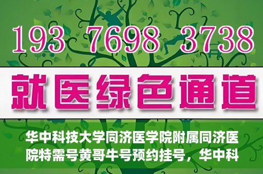 华中科技大学同济医学院附属同济医院特需号黄哥牛号预约挂号，华中科技大学同济医院特需号黄哥牛预约挂号攻略