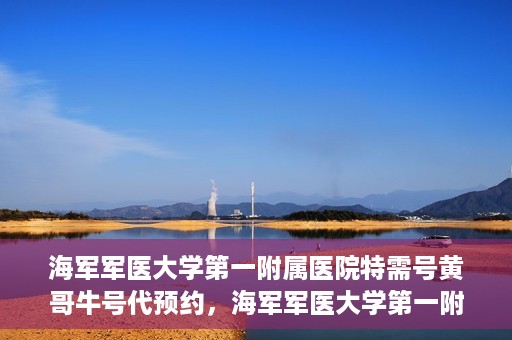 海军军医大学第一附属医院特需号黄哥牛号代预约，海军军医大学第一附属医院特需号专家预约服务解析，黄哥牛号预约攻略揭秘