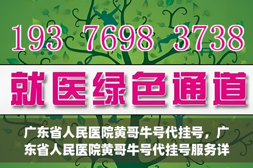 广东省人民医院黄哥牛号代挂号，广东省人民医院黄哥牛号代挂号服务详解