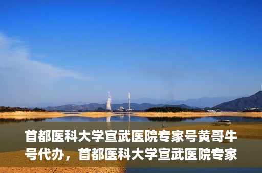 首都医科大学宣武医院专家号黄哥牛号代办，首都医科大学宣武医院专家号‘黄哥牛号’预约代办服务解析
