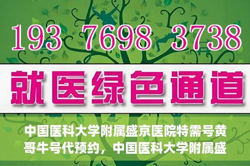 中国医科大学附属盛京医院特需号黄哥牛号代预约，中国医科大学附属盛京医院特需号预约专家黄哥牛号揭秘，一站式预约服务新体验